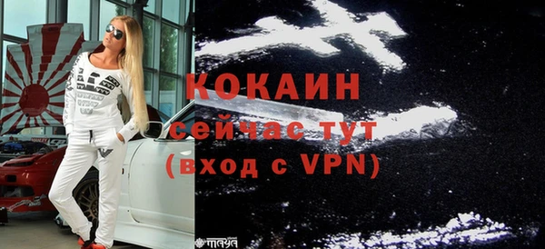 молекула духа Покров