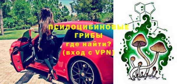 Альфа ПВП Алексин